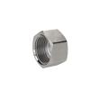RIEGLER Verschlusskappe, Sechskant G 1 1/4, IG, SW 46, ES 1.4408 Produktbild img1 S