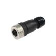 RIEGLER Gerade Steckdose M12 x 1 mm, 5-polig Produktbild