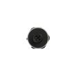 RIEGLER Drucksensor, A-1200, G 1/4, 0 - 0,6 bar, 1,0%FS, PNP, M12x1, 316L Produktbild img3 S