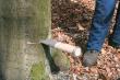 GEDORE OX 45-0650 Alu-Hohlkeil, glatt, komplett Produktbild img8 S