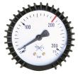 Schweisskraft Inhaltsmanometer SK Ø 63 mm; 0-315 bar Produktbild