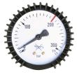 Inhaltsmanometer Schweisskraft SK Ø 63 mm; 0-315 bar Produktbild
