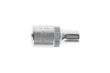 R41004503 Steckschlüsseleinsatz 1/4" 6-kant 4.5 mm Länge 25 mm Produktbild img6 S