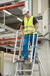 MUNK Plattformleiter FlexxStep 6 Sprossen mit Teleskopaufsatz Produktbild img4 S