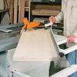 Holzkraft Säge-Fräse-Kombination minimax st 1g Produktbild img3 S