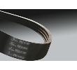 SPCP 5600 Keilriemen, Predator Produktbild