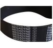 1620 X 40 mm, T 150 Flachriemen, Megaflat Produktbild img1 S