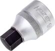HAZET Schraubendreher-Steckschlüsseleinsatz 985-12 ∙ 1/2 Zoll (12,5 mm) Vierkant hohl ∙ Innen Sechskant Profil ∙ SW 12 mm Produktbild img1 S