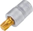 HAZET Schraubendreher-Steckschlüsseleinsatz 992-T55 ∙ 1/2 Zoll (12,5 mm) Vierkant hohl ∙ Innen TORX® Profil ∙ SW T55 Produktbild img1 S