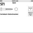 DIN 571 Stahl 10 x 60 VE=S Produktbild img1 S