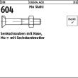 DIN 604 Mu St. M 12 x 55 VE=S Produktbild img1 S