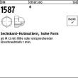 Reyher DIN 1587 6 Sechskant-Hutmuttern, hohe Form Produktbild img1 S