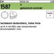 Reyher DIN 1587 6 galvanisch verzinkt Sechskant-Hutmuttern, hohe Form Produktbild img1 S