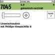ISO 7045 4.8 M 5 x 35 -H galv. verzinkt gal Zn VE=S Produktbild img1 S