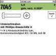 Reyher ISO 7045 4.8 H galv. verz. 8 DiSP Linsenschrauben mit Phillips-Kreuzschlitz H Produktbild img1 S