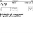 Reyher DIN 7979 Stahl Form D/m 6 Zylinderstifte mit Innengewinde, gehärtet, Toleranzfeld m6 Produktbild img1 S