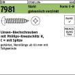 Reyher DIN 7981 Stahl Form C-H galvanisch verzinkt Linsen-Blechschrauben mit Spitze, mit Phillips-Kreuzschlitz H Produktbild img1 S