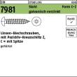 DIN 7981 Stahl 4,8 x 19 -C-Z galv. verzinkt passiviert gal Zn VE=S Produktbild img1 S