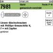 Reyher DIN 7981 Stahl Form F galvanisch verzinkt Linsen-Blechschrauben mit Zapfen mit Phillips-Kreuzschlitz H Produktbild img1 S