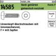 ISO 14585 Stahl 4,2 x 13 -F-T20 galv. verzinkt gal Zn VE=S Produktbild img1 S