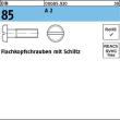 Reyher DIN 85 A 2 Flachkopfschrauben mit Schlitz Produktbild img1 S