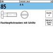 Reyher DIN 85 A 4 Flachkopfschrauben mit Schlitz Produktbild img1 S