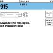 Reyher DIN 915 A 1/A 2 Gewindestifte mit Zapfen, mit Innensechskant Produktbild img1 S
