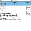 Reyher DIN 3017 A 4 (W5) Form A Schlauchschellen, mit Schneckenantrieb Produktbild img1 S