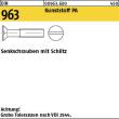 Reyher DIN 963 Kunststoff PA Senkschrauben mit Schlitz Produktbild img1 S