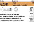 ART 82031 LINDAPTER-Hollo-Bolt St./8.8 HB 08-Größe 1 galv. verzinkt VE=S Produktbild img1 S