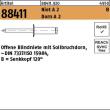 Reyher Artikel 88411 Niet A 2 B Dorn A 2 Offene Blindniete mit Sollbruchdorn, ~DIN 7337/ISO 15984, Senkkopf 120° Produktbild