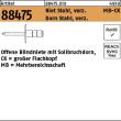 Gesipa ART 88475 PolyGrip Mehrber.-Blindniete St./St. verz. K 9,5 3,2 x 11 VE=S Produktbild img1 S