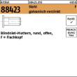 Reyher Artikel 88423 Stahl F galvanisch verzinkt Blindniet-Muttern, rund, offen, Flachkopf Produktbild img1 S