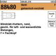 Reyher ART 88480 Blindnietmu. geschlossen St.Zn Flako M 8 / 3,0 - 6,0 VE=S Produktbild img1 S