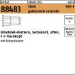 Reyher Artikel 88483 Stahl 6kt-F galvanisch verzinkt Blindniet-Muttern, Sechskant, offen, Flachkopf Produktbild img1 S