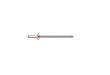 Gesipa Blindniete Kupfer/Stahl Standard Produktbild img4 S