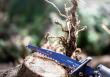 Bosch EXPERT S1142KHM Tough Wood Säbelsägeblatt Produktbild img4 S