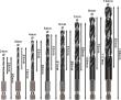 Bosch PRO Metal HSS-G Impact Spiralbohrer-Set, 8-tlg. Produktbild img3 S