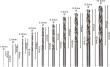 PRO Metal HSS-G Spiralbohrer-Set, 10-tlg. Produktbild img4 S
