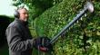 Bosch Akku-Heckenschere GHE 18V-50 (II) Produktbild img3 S
