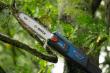 Bosch GKE 18V-25 TP Produktbild img14 S