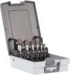 Stock Kegelsenker-Set Typ: Kegelsenker Satz / Ø-Bereich 6,30-20,50 / DIN 335 / HSCO / AlTiN Produktbild img1 S