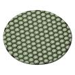 Flex Diamant-Schleifpad DP 200 DRY D115 Produktbild