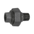 RIEGLER Verschraubung 331, flachdicht., R 2 1/2, Rp 2 1/2,Temperg. schw. Produktbild img1 S