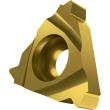 Dormer Pramet Wendeschneidplatte zum Gewindeschneiden - Außen - Vollprofil - API-Gewinde TN API RD EXT Produktbild img1 S