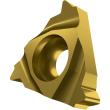 Dormer Pramet Wendeschneidplatte zum Gewindeschneiden - Innen - Vollprofil - API-Gewinde TN API RD INT Produktbild img1 S