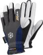 Kälteschutzhandschuh TEGERA® 295 Produktbild img1 S