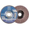 PFERD TOOLS POLINOX Vlies-Schleifdisc PNZ Ø 125 mm Bohrung-Ø 22,23 mm A100 für Feinschliff und Finish Produktbild img1 S