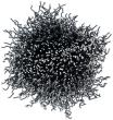 VIGOR Pinselkopfbürste ∙ 25&nbsp;mm ∙ V6802 Produktbild img3 S
