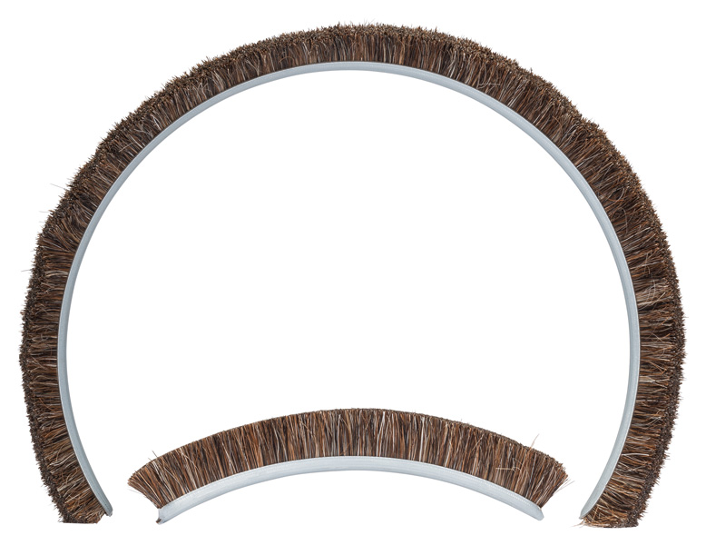 PRO Ersatzbürste Produktbild img1 L